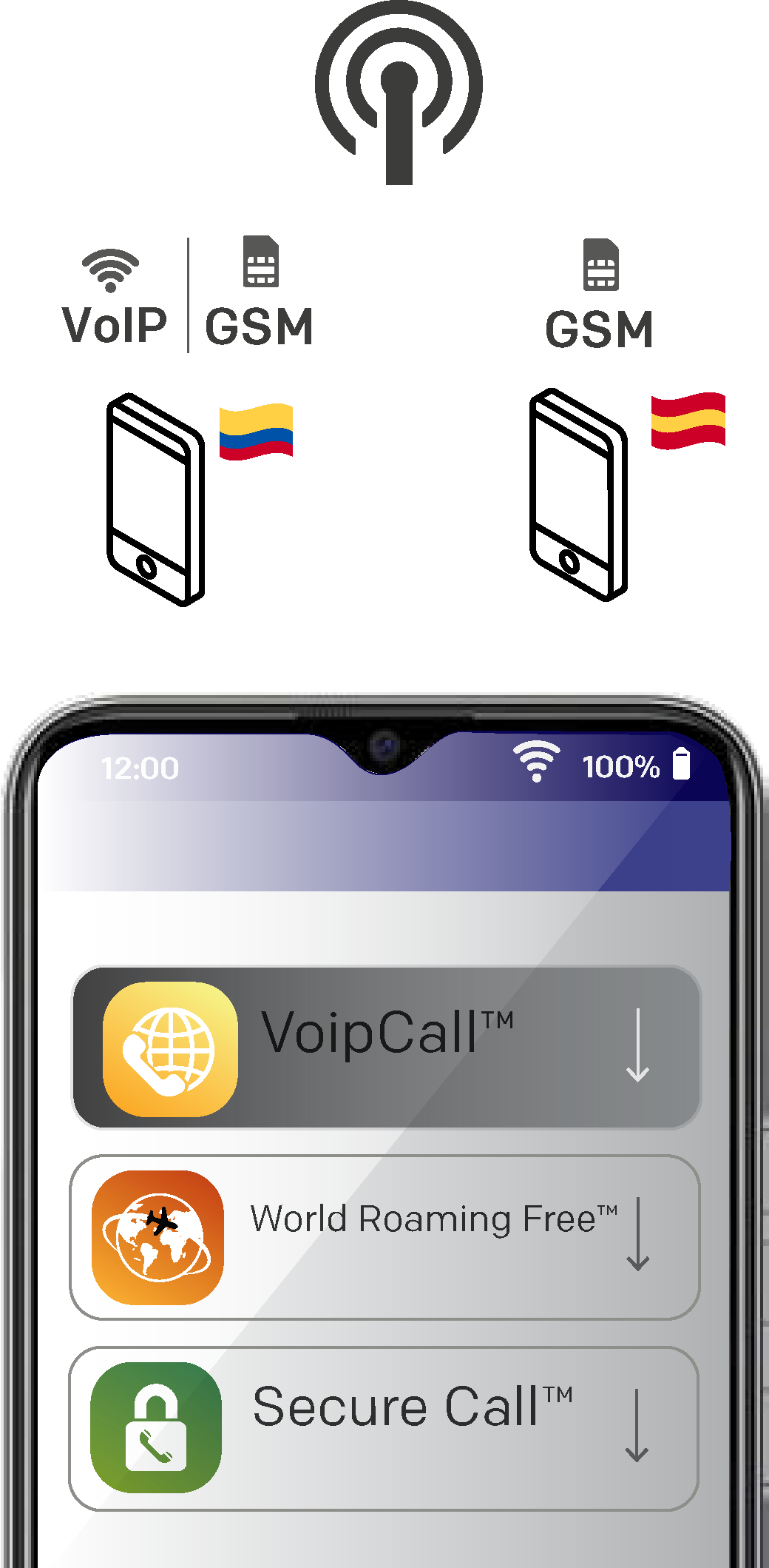 Voip Call Servicios Nativos Wings Mobile